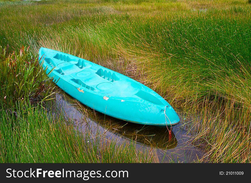 Blue kayak boat strand in the pond
