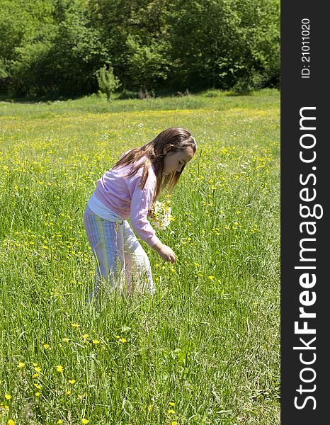 Little girl in a meadow with wild flowers