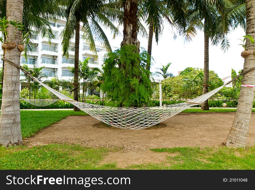 A hammock hanging under coconut tree in the garden