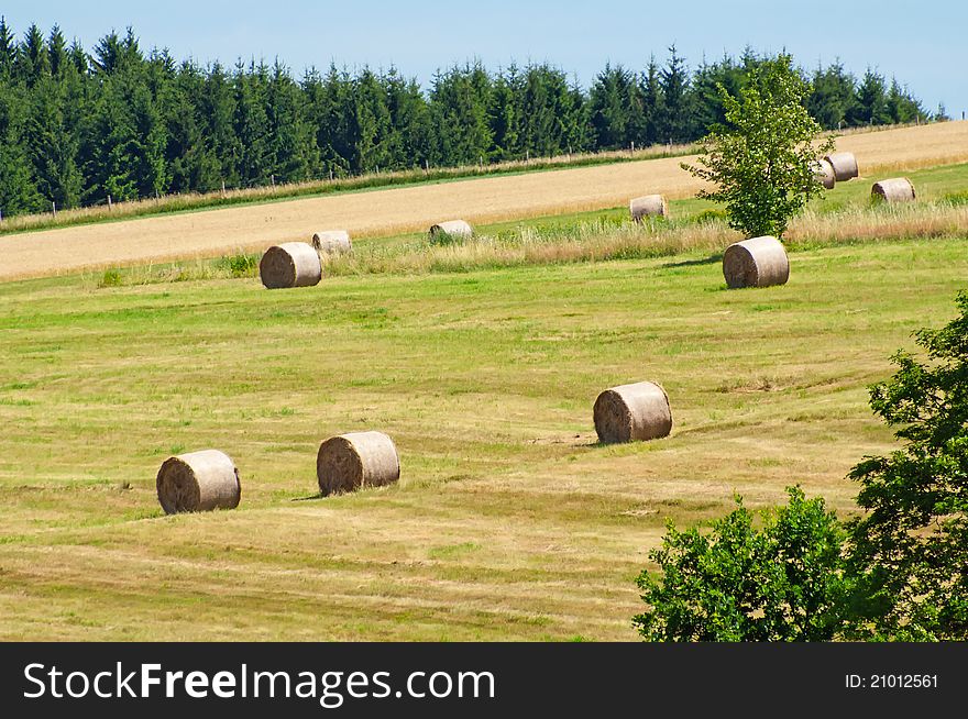 View of summer field with straw bales.