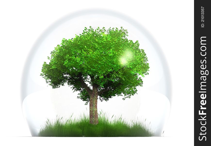 A green tree in a transparent bubble. A green tree in a transparent bubble