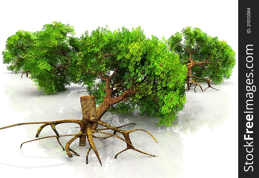 Cut many green trees on white background. Cut many green trees on white background