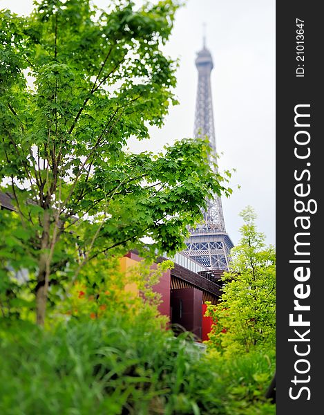 Eiffel Tower through the leaves of trees in Paris. Photo with tilt-shift effect. Eiffel Tower through the leaves of trees in Paris. Photo with tilt-shift effect