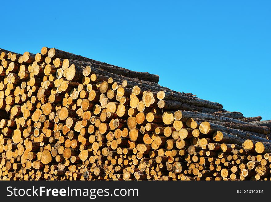 Heap of timber logs against blue sky