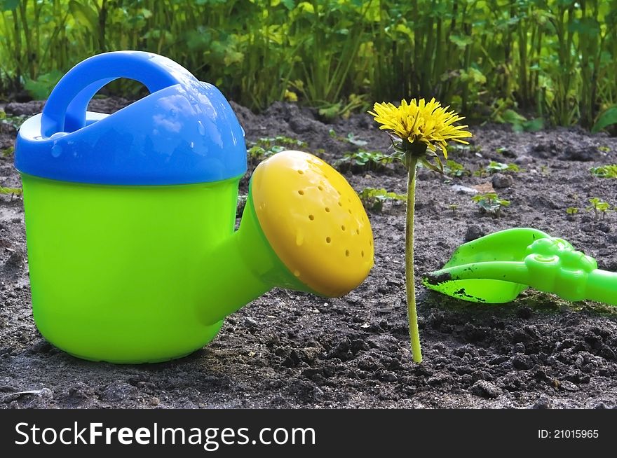 Flower and children's green watering can on a bed. Flower and children's green watering can on a bed