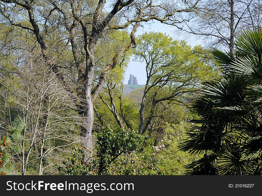 St Catherines Chapel can just be seen through the trees at Abbotsbury, Dorset. St Catherines Chapel can just be seen through the trees at Abbotsbury, Dorset