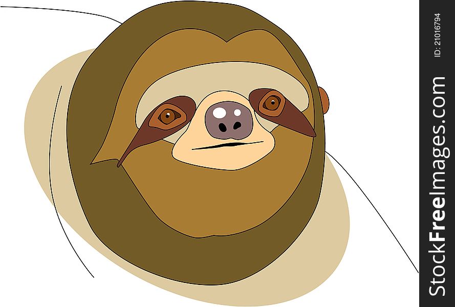 Illustrated cute brown sloth face