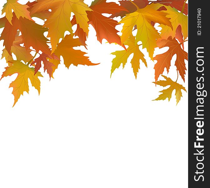 Autumn Background With  Leaflets