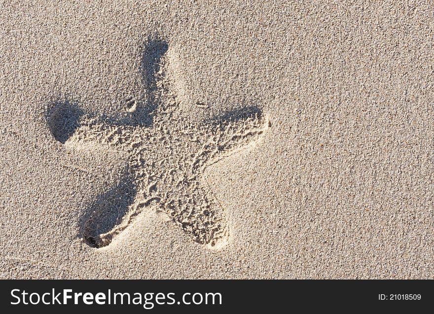 Starfish print on the beach