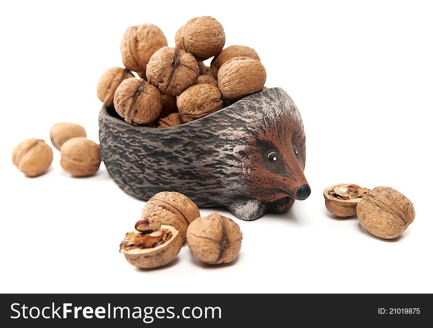 Hedgehog with walnuts isolated on white