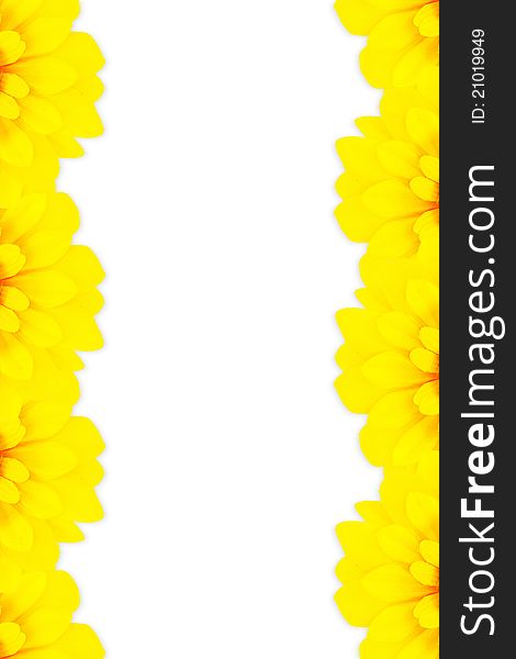 Sunflower frame vertical as background