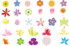 Illustration Of Flower Collection Royalty Free Stock Photos Illustration Of Flower Collection Royalty Free Stock Photos