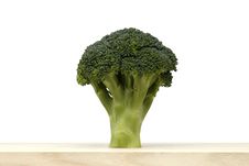 Broccoli Vegetable On White Background Stock Image Broccoli Vegetable On White Background Stock Image