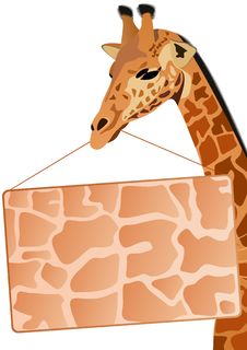 Giraffe With A Banner Ad Stock Photo Giraffe With A Banner Ad Stock Photo