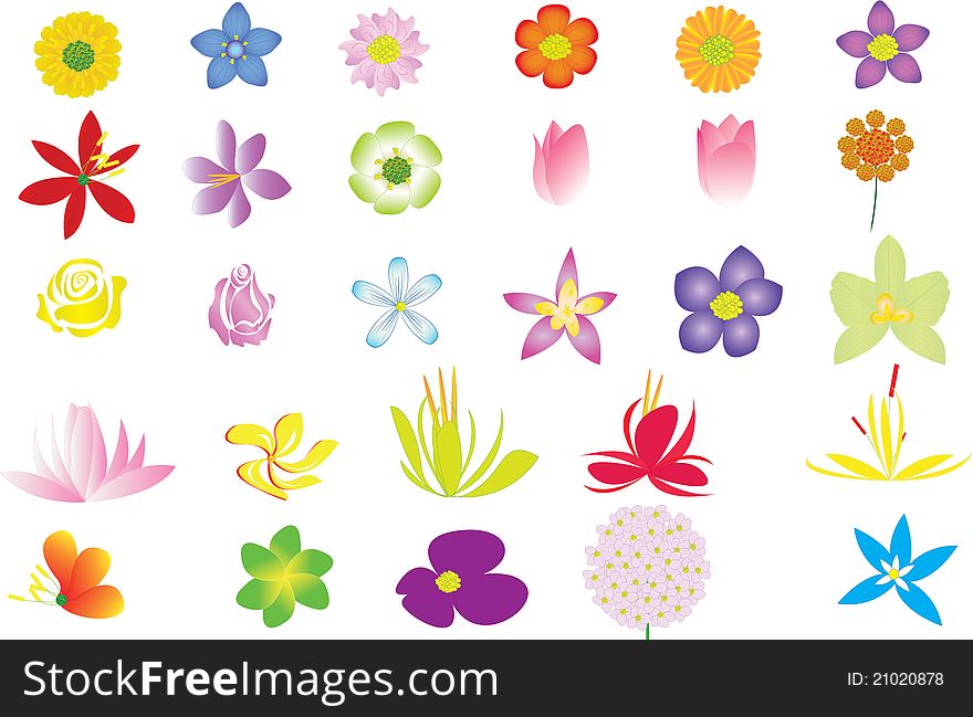 Illustration of flower collection for decoration and design