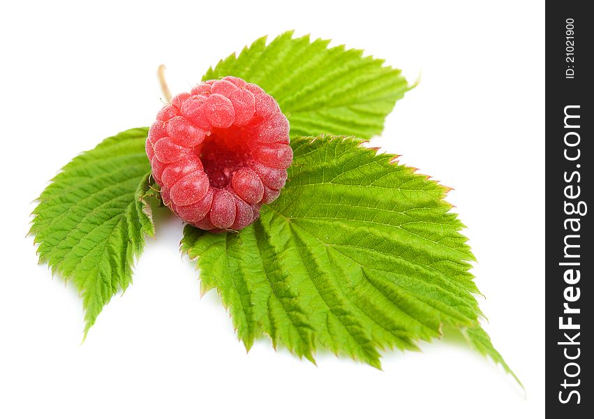 Fresh summer raspberries on a white background