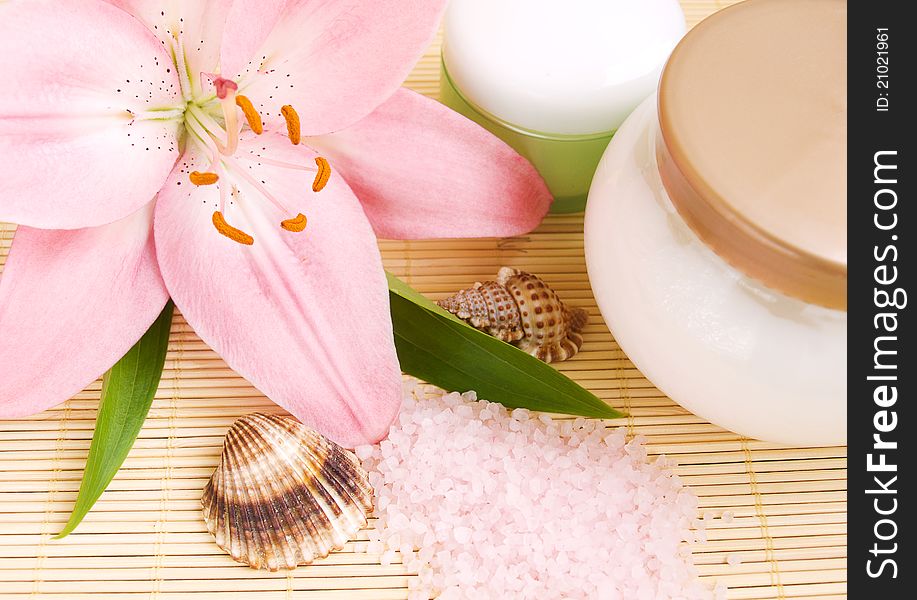 Pink lily, herbal sea salt, cream and seashells. Pink lily, herbal sea salt, cream and seashells