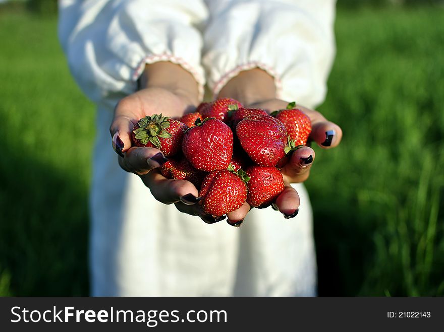 Handful of strawberries in hands, close up
