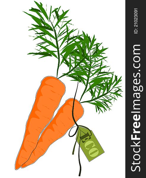 Big And Health Orange Carrot - Vector