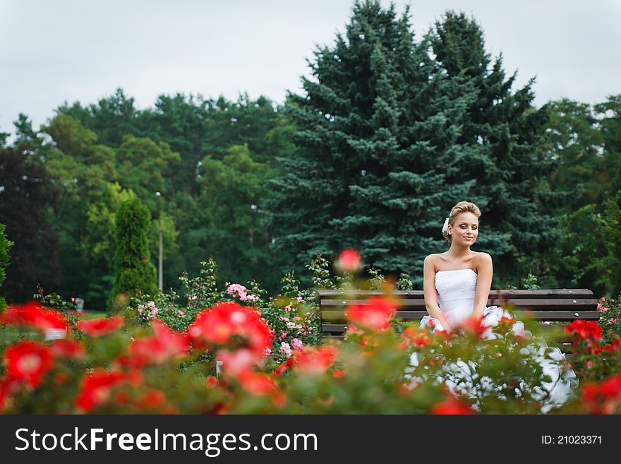 Beautiful bride in white dress