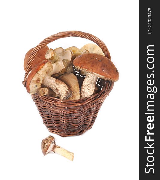 Mushrooms in a basket