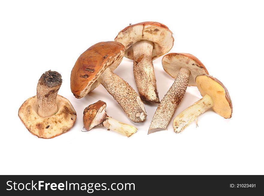 Mushrooms aspen mushrooms lie on a table
