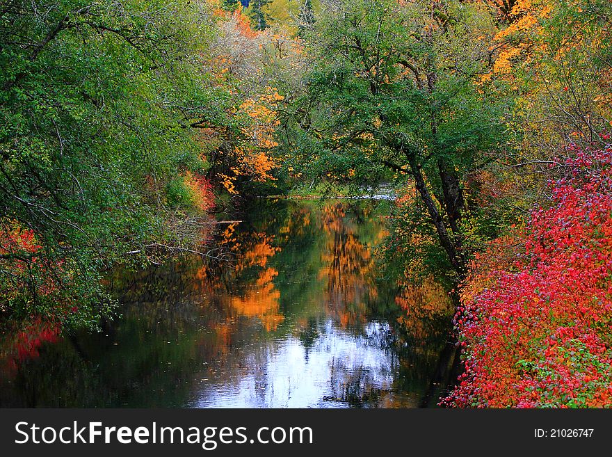 Autumn leaves reflect off of the river in a neat display of colors. Autumn leaves reflect off of the river in a neat display of colors