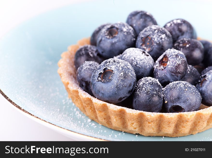 Blueberries tart on the light blue plate. Blueberries tart on the light blue plate