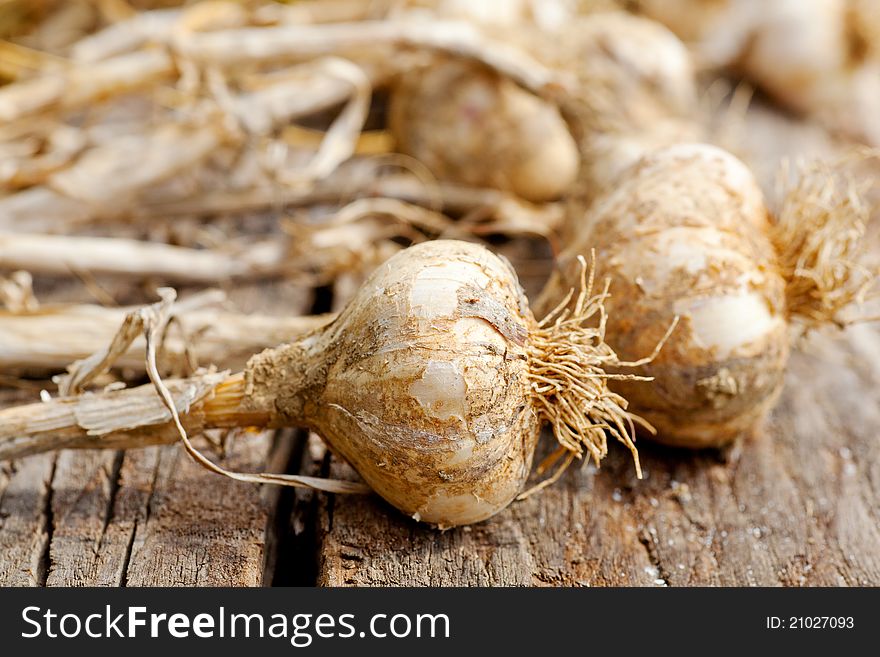 Photo of Biological garlics freshly harvested