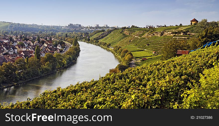 Vineyard with small houses on the river Neckar, Germany