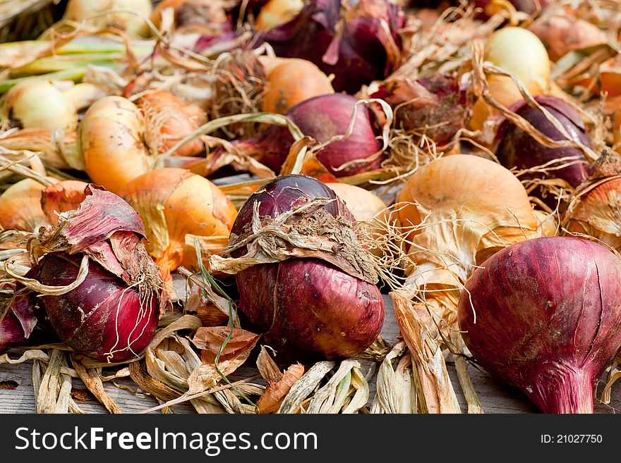 Photo of Biological onions freshly harvested