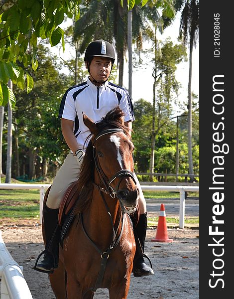 Rider on brown horse walking