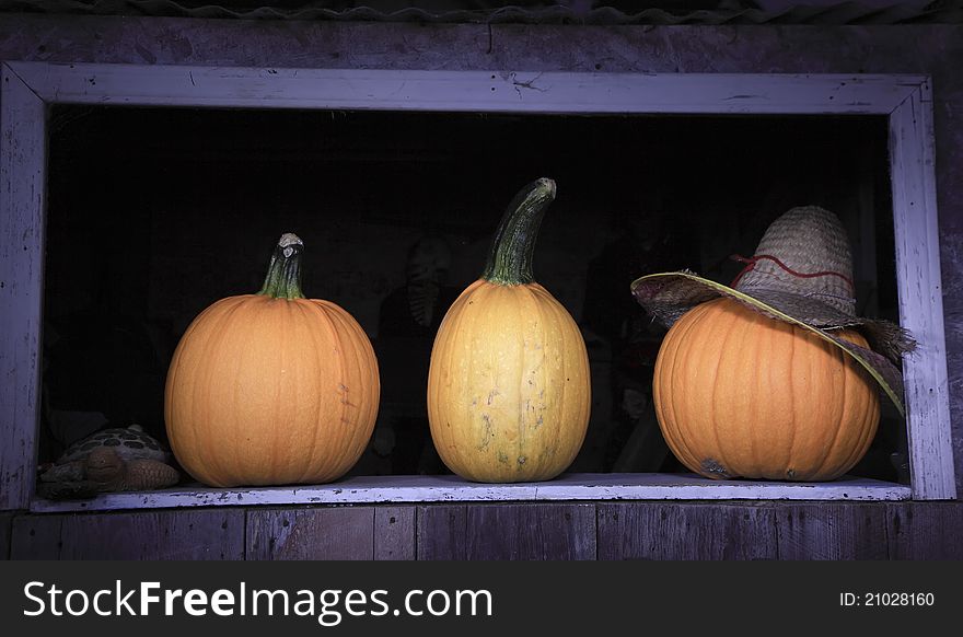 An American Tradition during Fall are Pumpkins loved by all