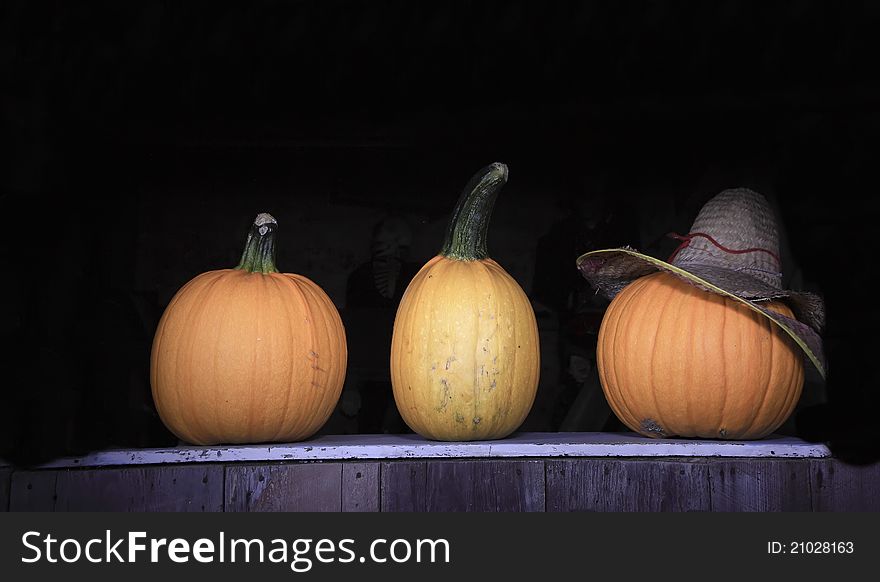 An American Tradition during Fall are Pumpkins loved by all