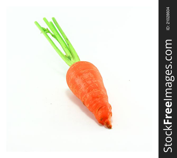 The Fresh Carrot on white background