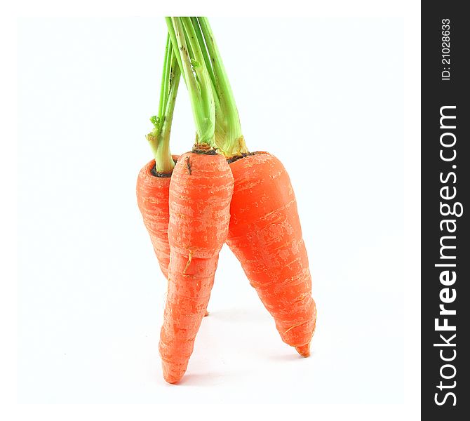 Fresh Carrot on white background