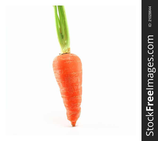 Fresh Carrot on white background
