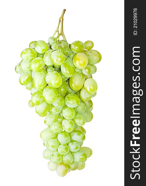 Fresh grape fruits isolated on white background