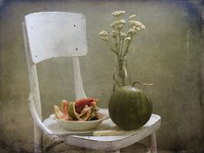 Field Flowers And Water-melon Royalty Free Stock Images Field Flowers And Water-melon Royalty Free Stock Images