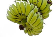 Banana Bunch Isolate On White Royalty Free Stock Photo