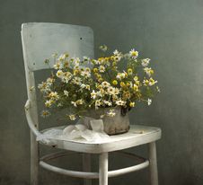 Bouquet Of Camomiles And Chair Royalty Free Stock Photo Bouquet Of Camomiles And Chair Royalty Free Stock Photo