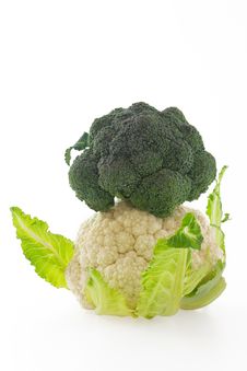 Cauliflower And Broccoli On White Background Royalty Free Stock Photography Cauliflower And Broccoli On White Background Royalty Free Stock Photography
