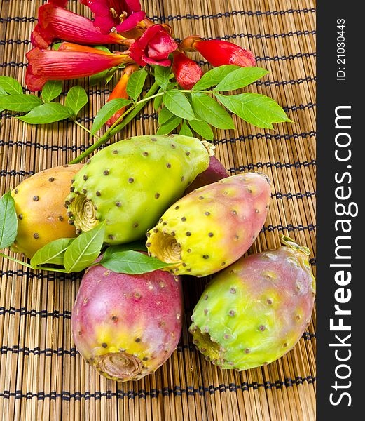 Like all true cactus species, prickly pears are native only to the Western hemisphere; however, they have been introduced to other parts of the globe.