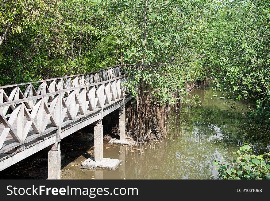 Walk way road