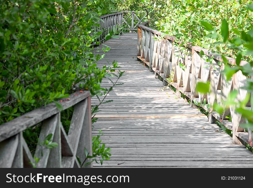 A picture of a road way for walk for people. A picture of a road way for walk for people