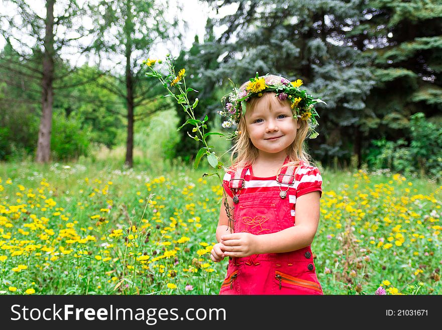 Beautiful girl in the meadow outdoor