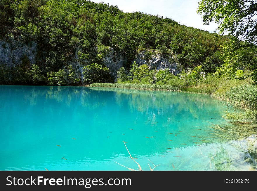 Crystal Clear Water In The Plitvice Lake