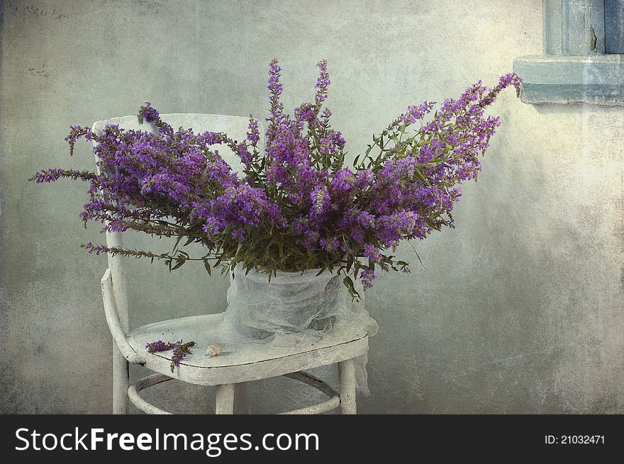 Still life with a violet flowers