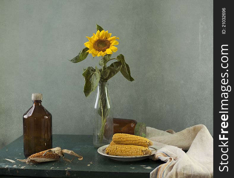 Still life with a sunflower and corn