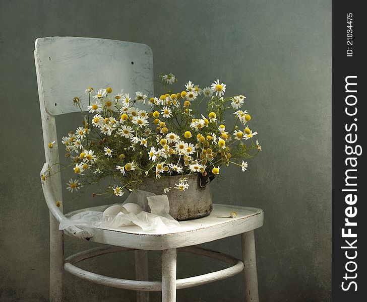 Bouquet of camomiles on a white chair. Bouquet of camomiles on a white chair